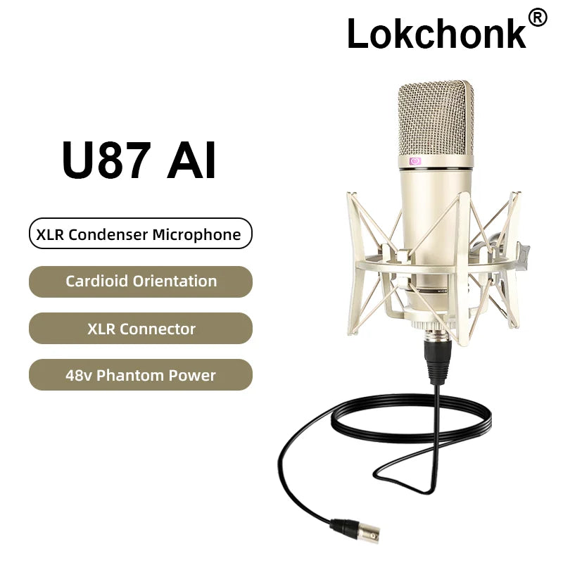 ProVoice U87 AI Condenser Mic