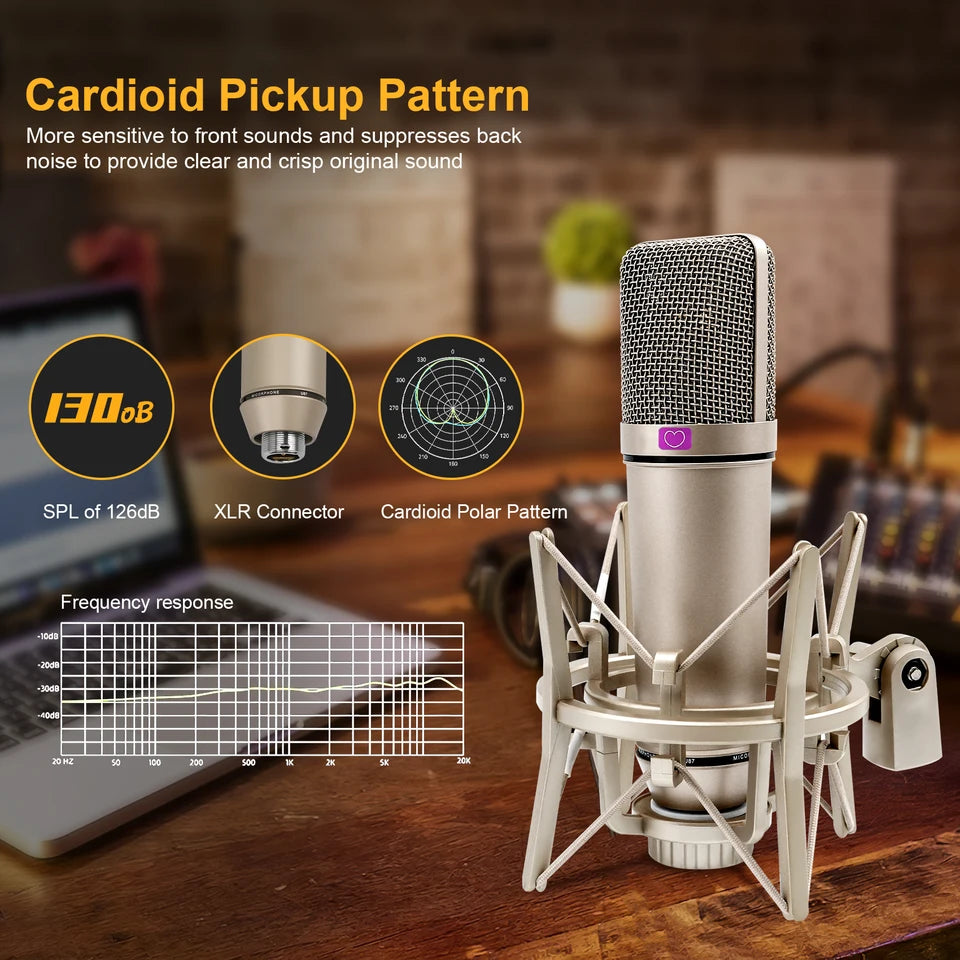 ProVoice U87 AI Condenser Mic